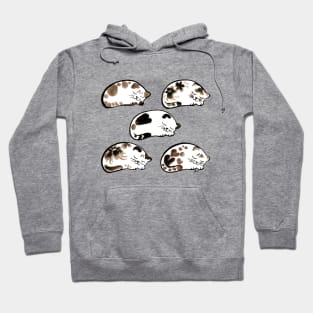 Sleeping cats pattern Hoodie